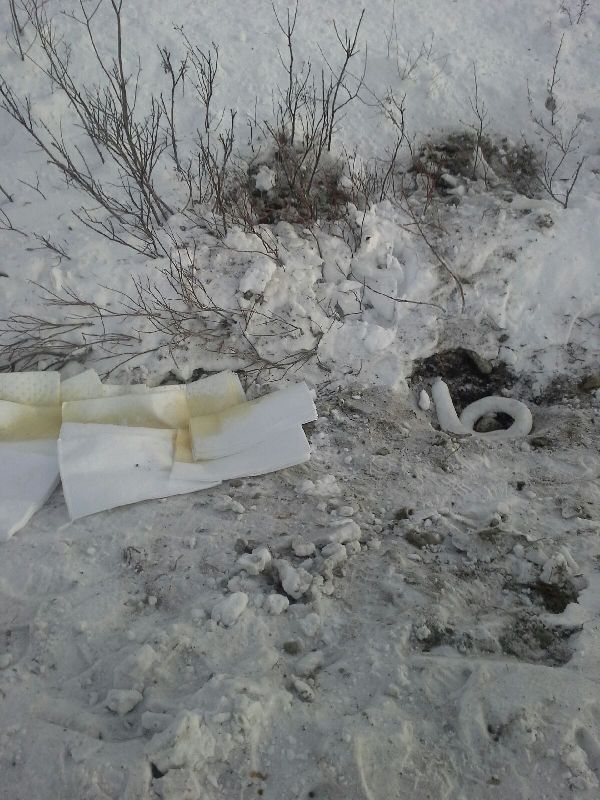 Contamination_along_ditch_line_approx_170ft_from_release_point_on_January_10_2017_ADEC_photo.JPG
